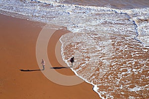 Waves on the sandy beach