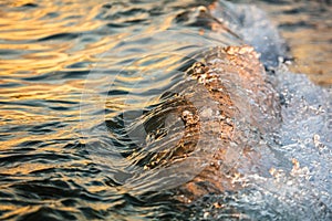 Waves at sea in the rays of sunset