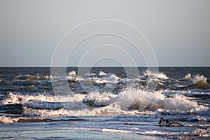 Waves from Skagerrak and Kattegat ocean meets in northern Denmark. photo