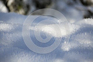 Waves Of Snow And Ice Flowers