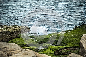 Waves splashing on rocks and green algae