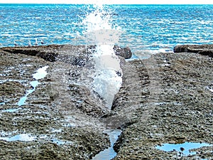 Waves spouting through a rock, Goat Island, New Zealand