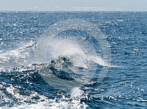 Waves in The Straits of Gibraltar