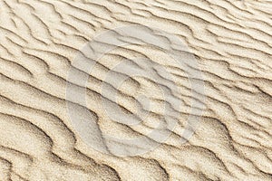 Waves on the surface of sand dunes. Space for text. Background