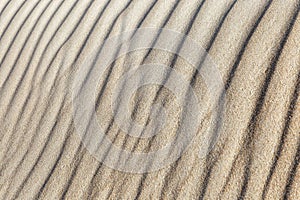 Waves on the surface of sand dunes. Space for text. Background