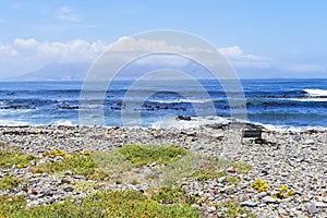 Waves in Table Bay bring seaweed to the shore of Robben Island