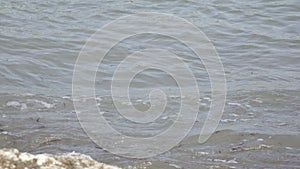 Waves of the warm sea run on the sandy beach of the tropical resort with umbrellas and chaise lounges