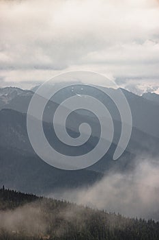 Wavey ridge lines of varying mountain ranges are contrasted by the one in front creating depth and texture in Olympic National