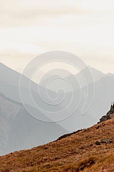 Wavey ridge lines of varying mountain ranges are contrasted by the one in front creating depth and texture in Olympic National