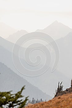 Wavey ridge lines of varying mountain ranges are contrasted by the one in front creating depth and texture in Olympic National