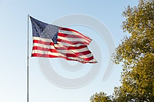 Waving American USA Flags on Flagpole On Background Of Blue Sky, Green tree, Template