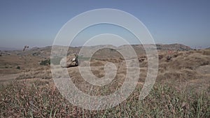 Waving dry grass on the hills of Eswatini.