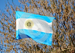 Waving flag of Argentina