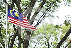 Waving Malaysia Flag, Jalur Gemilang