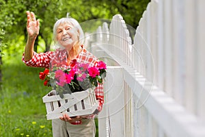 Beaming elderly lady waving to her neighbor standing near fence photo