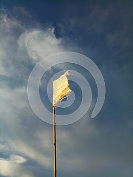 waving white flag against the blue sky background
