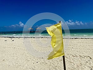 Waving yellow flag, Cuba, Cayo Guillermo