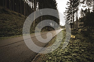 Zvlnená asfaltová cesta v horskej oblasti v lese vintage retro vzhľad