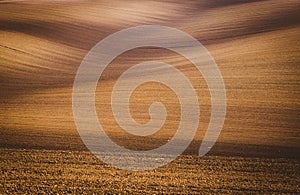 Wavy autumn fields in Moravian Tuscany, Czech Republic