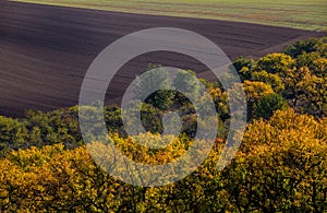 Wavy autumn fields in Moravian Tuscany, Czech Republic