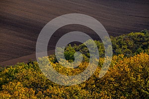 Wavy autumn fields in Moravian Tuscany, Czech Republic