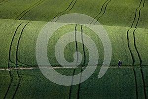 Wavy fields, fairy-tale patterns, Poland