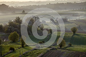 Wavy fields, fairy-tale patterns