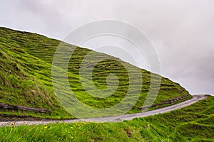 A wavy grass hill horizont