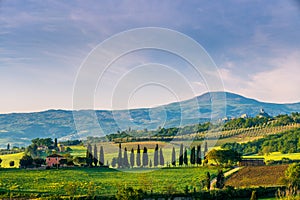 The wavy hills of the landscape in Val d\'Orcia from San Quirico d\'Orcia