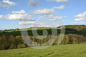 Wavy Landscape with Trees and Meadows, Bohemian Forest, Czech Republic, Europe