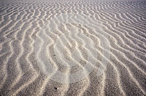 Wavy lines pattern on sand of dunes on beach