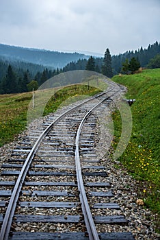 Wavy log railway tracks in wet green forest with fresh meadows