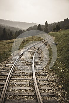 Wavy log railway tracks in wet green forest with fresh meadows - vintage retro look