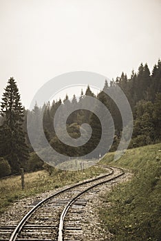 Wavy log railway tracks in wet green forest with fresh meadows - vintage retro look