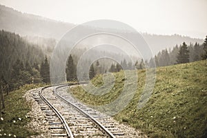 Wavy log railway tracks in wet green forest with fresh meadows - vintage retro look