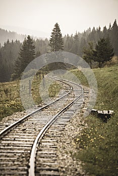 Wavy log railway tracks in wet green forest with fresh meadows - vintage retro look