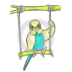 The wavy parrot is riding on a swing. vector illustration