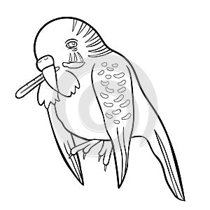 The wavy parrot is sick with a thermometer. Vector illustration