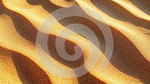 Wavy patterns on golden sand dunes under sunlight