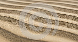 Wavy patterns of sand are shaped by the wind, forming parallel ridges. The texture