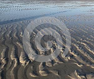 Wavy Sand on the beach of Cape Cod