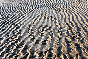 Wavy sand tide lines on beach, background, texture