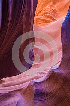 Wavy Shapes in Lower Antelope Canyon