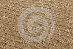 The wavy surface of a sand dune. Background. Space for text