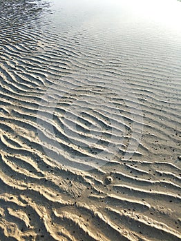 Wavy surface of the sandy ocean floor near the shore at low tide