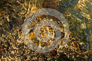 rippling water with pebbles on the bottom
