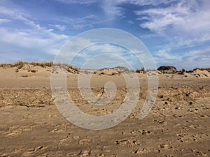 Wavy White Clouds and Blue Sky Cover Dunes and Sandy Beach at Cape Henlopen State Park, Lewes, DE photo