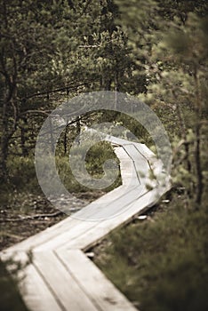 wavy wooden foothpath in swamp forest tourist trail - vintage retro look