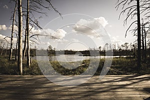 wavy wooden foothpath in swamp forest tourist trail - vintage retro look