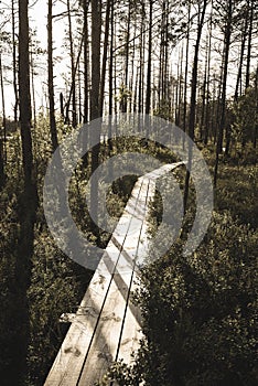 wavy wooden foothpath in swamp forest tourist trail - vintage retro look